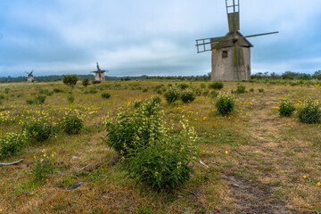 Countryside in Gotland. View with windmills and beautiful Swedish nature. Summer in Sweden