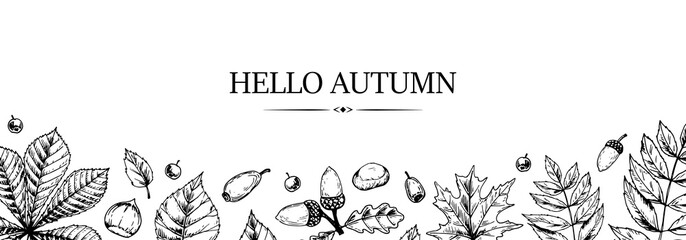 Hand drawn autumn horizontal banner with falling leaves, acorn and berries. Vector illustration in sketch style isolated on white. Space for text. Hello Autumn