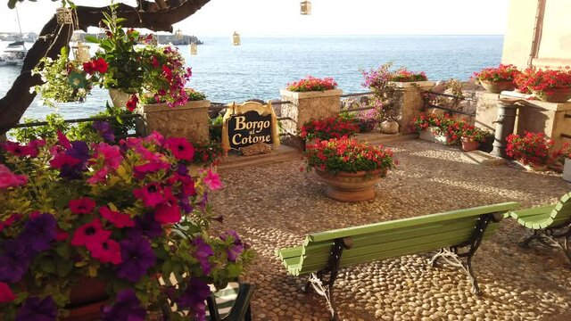 red geraniums and bougainvillea flowers at Marciana Marina waterfront, flowery district BORGO AL COTONE sign: meaning COTTON VILLAGE. Tourism travel in Italy. Marciana Marina Elba island.