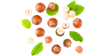 hazelnuts with green leaf isolated on white background. top view