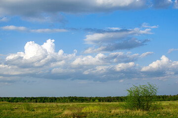 green field and blue sky