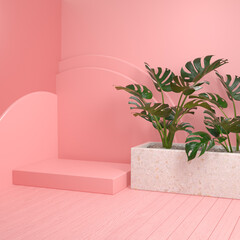 Minimal Mockup Pink Platform With Monstera Plants And Wooden Floor 3d Render