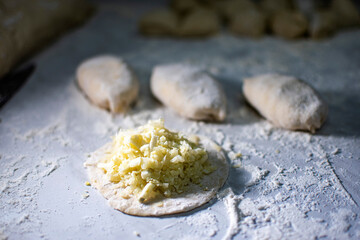 Homemade pasties with filling. in flour