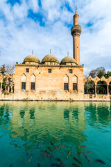 Balikligol ( fish lake ) in Sanliurfa City of Turkey