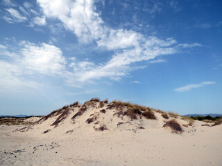 Sardinia Porto Pino, view of the dune beach with vegetation, in the background the sea.