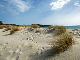 Sardinia Porto Pino, view of the dune beach with vegetation, in the background the sea.