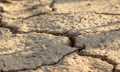 Drought and climate change. Dry soil texture on the ground