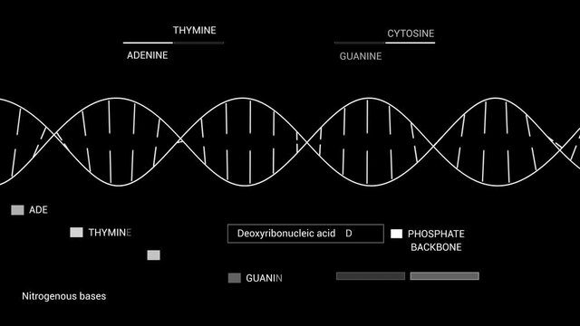 "PNG Alpha.DNA HUD template.DNA
description- adenine,thymine,guanine,cytosine.Futuristic User Interface,UI.Technological sci fi screen.Animated texture.Medicine needs."
