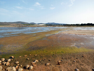 Sardinia eduta of the pond of Porto Pino, in the background the dunes of the nearby beach.