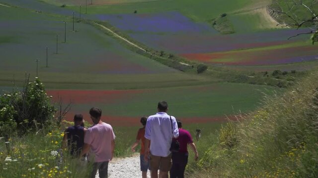 Fioritura di Castelluccio di Norcia