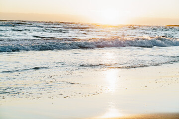 Obraz premium Palm Beach shoreline