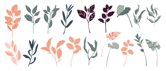 Tropical leaves and abstract exotic plan vector design elements on the white background.