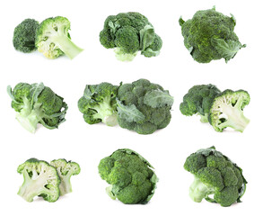 Set of fresh green broccoli on white background