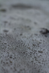 Small bubbles in coastal water. 