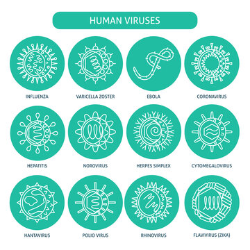 Human virus types icon set in thin line style