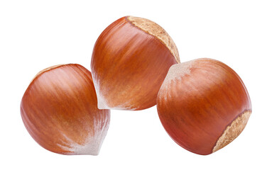 Delicious hazelnuts close-up, isolated on white background