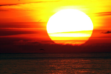 Coucher de soleil sur la Côte d'Opale, plage d'Hardelot en France