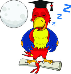 fun cartoon colorful parrot with education graduation hat standing on certificate roll sleeping offline moon behind © Cartoon-Designer