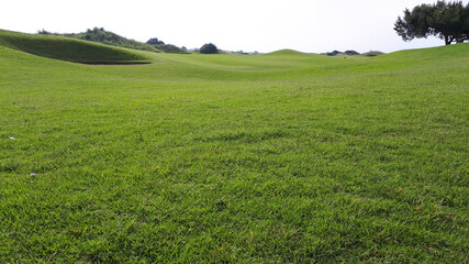 golf course with green grass