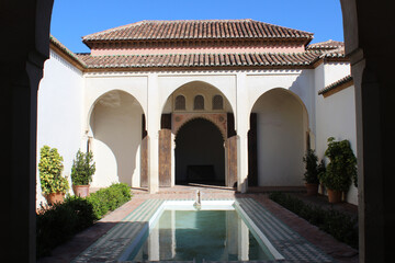 Obraz premium Courtyard of the Palace of the Alcazaba in Málaga (Andalusia, Spain)