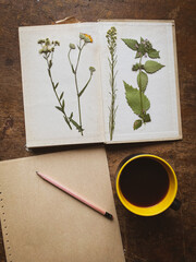 cup of coffee, dried flowers and a book