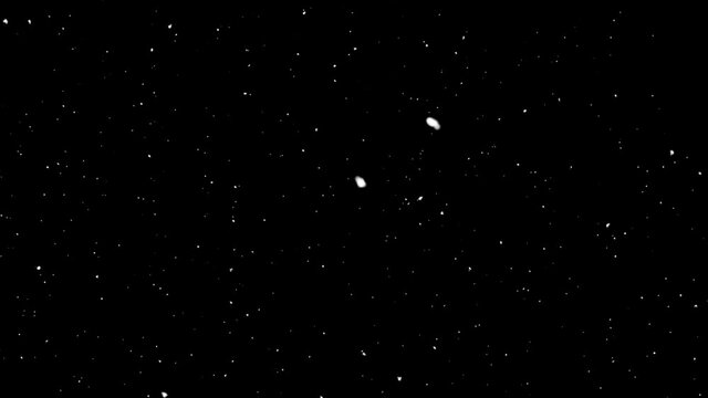 snow falling on black background