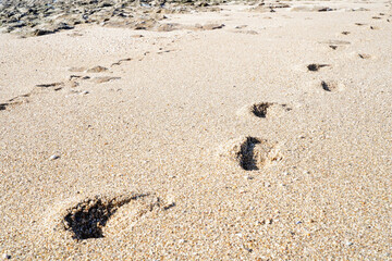 trace de pas dans le sable 