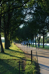 Tree lined road alongside the reflection pool in National Mall, Washginton DC