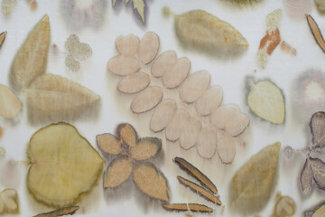 Fragment of hand-dyed fabric strip using eco-print technique