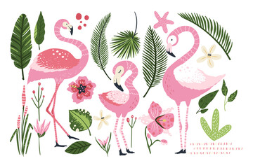 Flamingo vector cartoon animal set. Nature flowers leaves and wildlife bird collection. Pink fmily bird collection. Adult and kid tropical prints. © trihubova