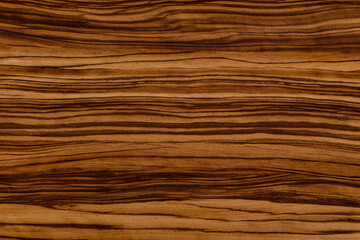 Olive. Bright contrast wood texture. Background for design. Structured timber surface.