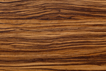 Olive. Bright contrast wood texture. Background for design. Structured timber surface.