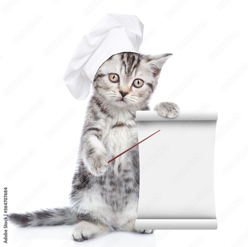 Poster Kitten wearing chef's hat points on empty list. isolated on white background
