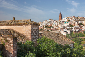 Fototapeta premium views of the city of Montoro in the province of Cordoba. Spain