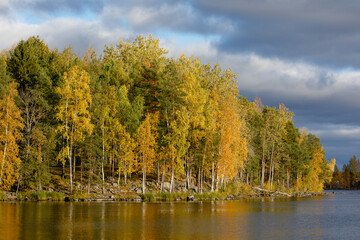 Autumn color trees and lake landscape