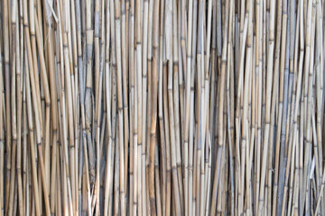 Wall of reeds texture background