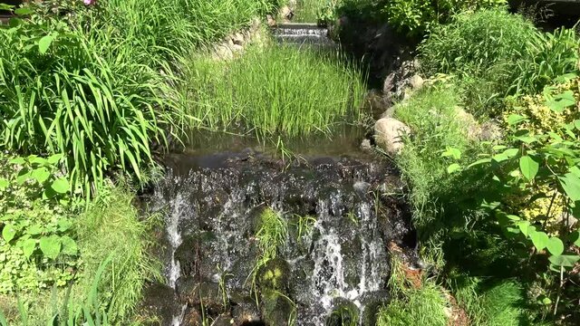 Peaceful Water Stream - Relaxing River Sounds - Singing Birds