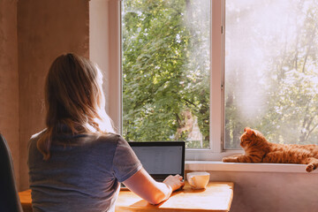 Woman working at the laptop near the window with her ginger cat lying on the windowsill