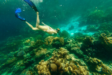 Naklejka na ściany i meble Girl snorkeling in white bikini swimming deep in coral reef of Surin Islands, Andaman Sea, North of Phuket, Phang Nga in Thailand. Ko Surin Marine National Park, underwater scene. Watersport activity.