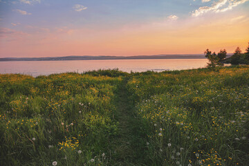 Obraz premium Meadow with a path leading to the lake, sunset time