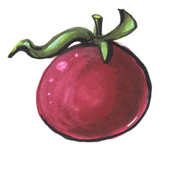 Tomato Cherry Illustration