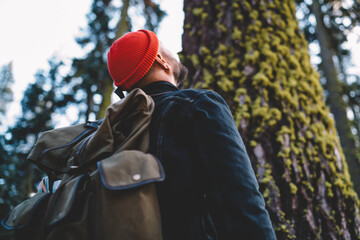 Young male tourist with casual rucksack looking up and admiring high tree in forest, professional hiker with trendy backpack enjoying time for trekking tour to green forest in nature environment