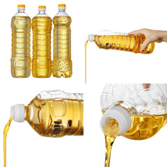 Sunflower oil bottles collage on white background