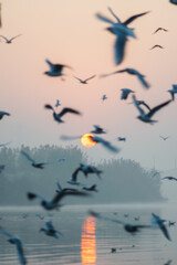A beautiful morning at Yamuna ghat at Delhi