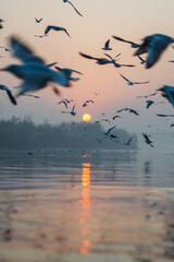 Fototapeta premium A beautiful morning at Yamuna ghat at Delhi
