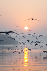 A beautiful morning at Yamuna ghat at Delhi