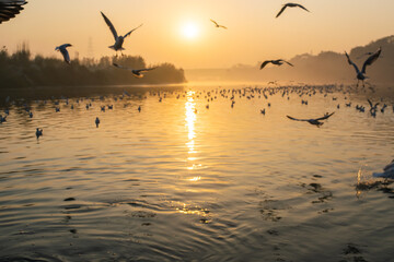 A beautiful morning at Yamuna ghat at Delhi