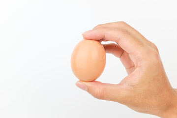 Fresh eggs on white background