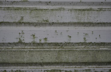 old wooden wall

