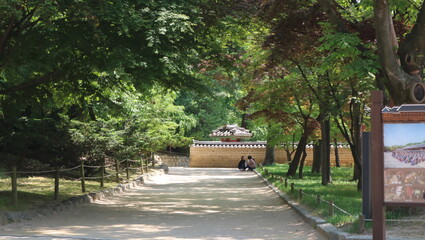 path in the garden